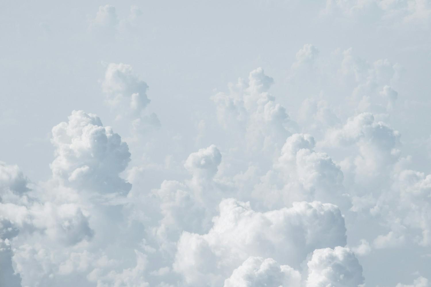 auth banner